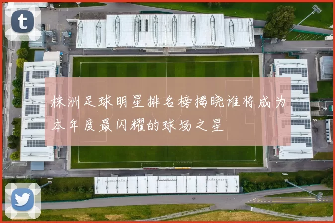 株洲足球明星排名榜揭晓谁将成为本年度最闪耀的球场之星