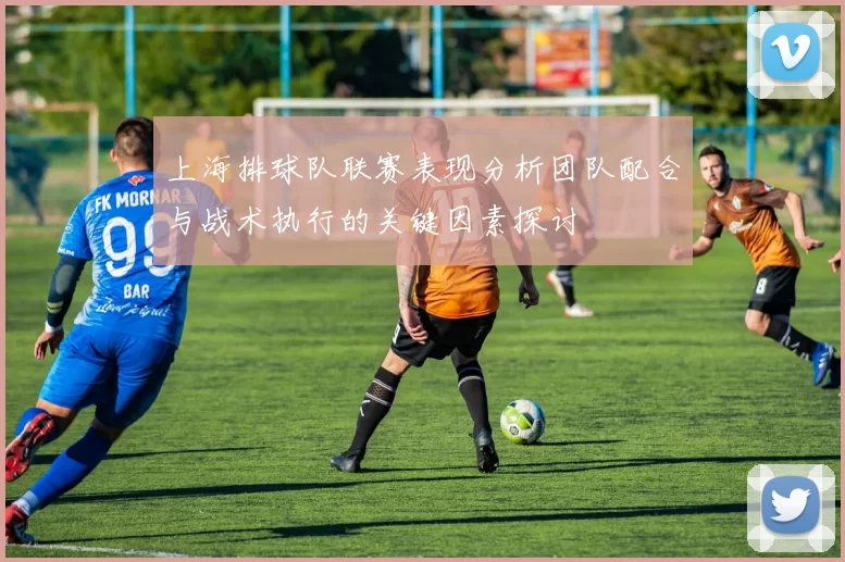 上海排球队联赛表现分析团队配合与战术执行的关键因素探讨