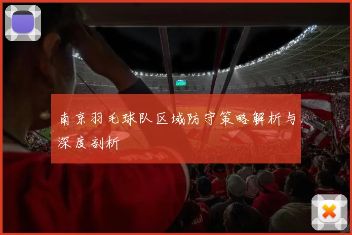 南京羽毛球队区域防守策略解析与深度剖析