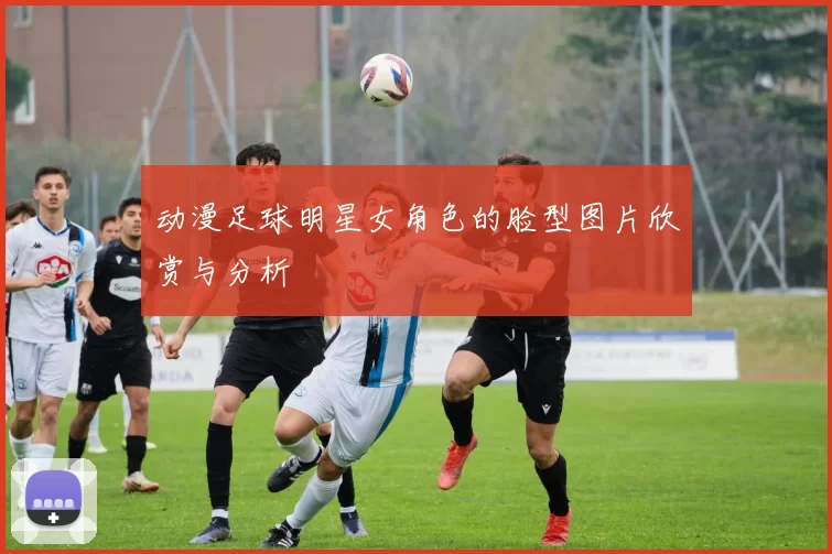 动漫足球明星女角色的脸型图片欣赏与分析