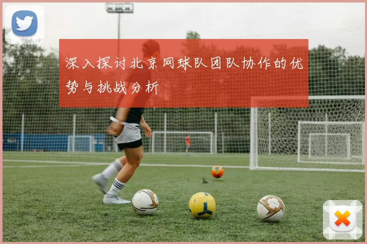 深入探讨北京网球队团队协作的优势与挑战分析