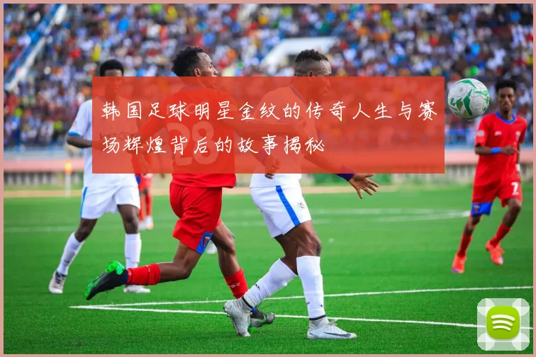 韩国足球明星金纹的传奇人生与赛场辉煌背后的故事揭秘
