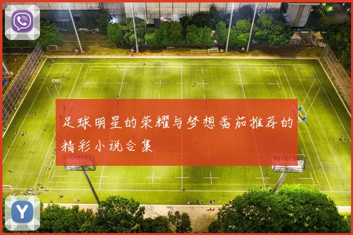 足球明星的荣耀与梦想番茄推荐的精彩小说合集