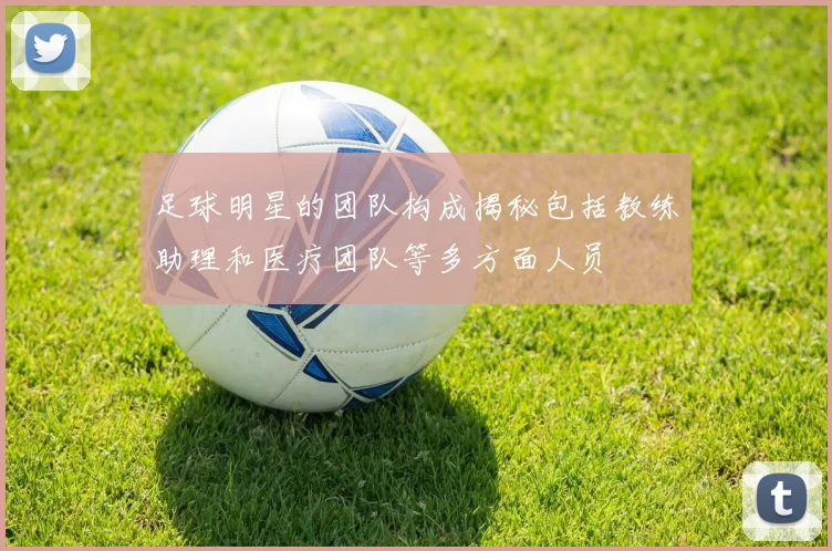 足球明星的团队构成揭秘包括教练助理和医疗团队等多方面人员