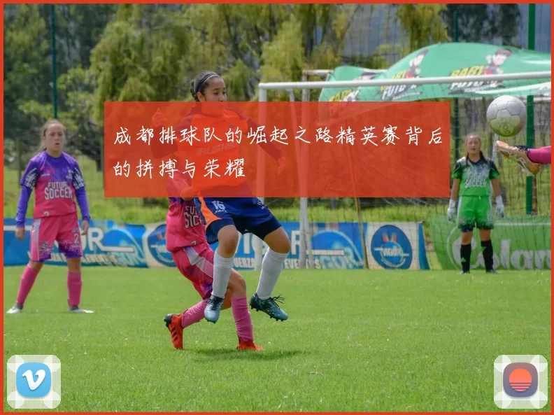 成都排球队的崛起之路精英赛背后的拼搏与荣耀